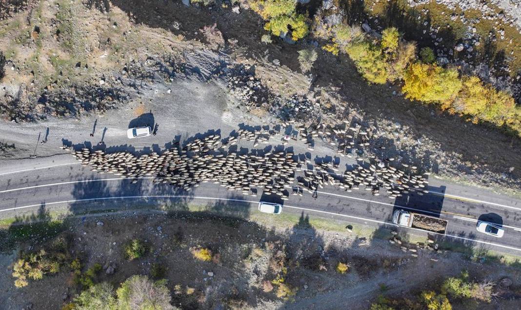 9 virajlı yolda Koçerlerin Diyarbakır’a dönüş yolculuğu 10